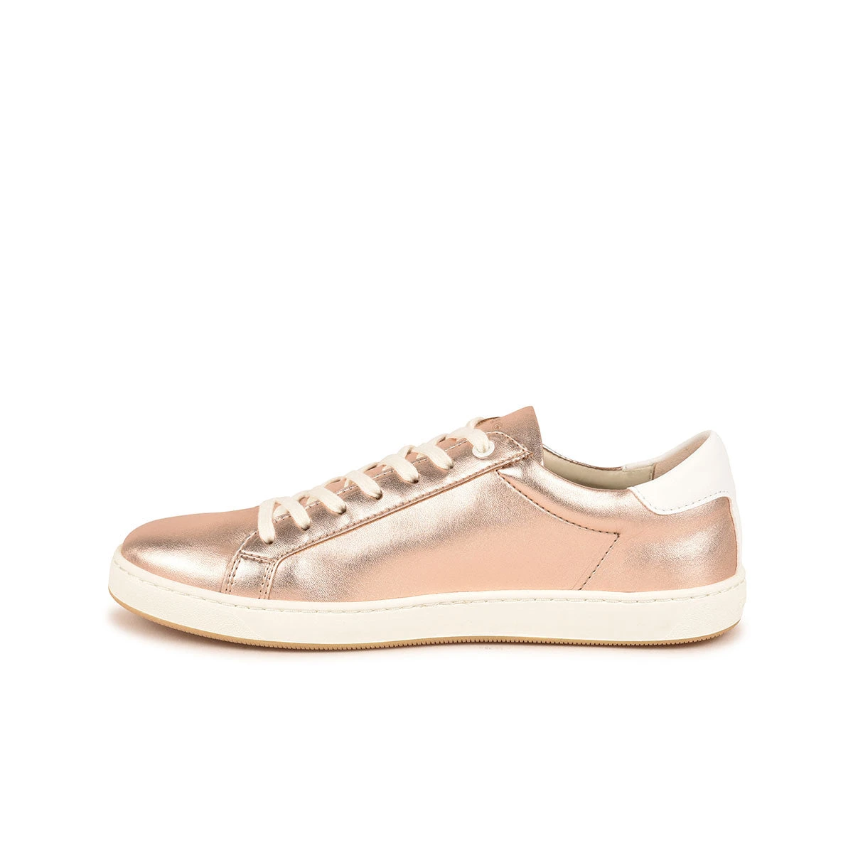 Pataugas ASTER/M F4H ROSE 3 Pataugas ASTER/M F4H ROSE – Image 3